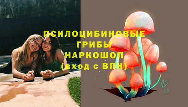 индика Горняк