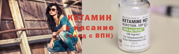 индика Горняк