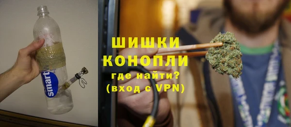 индика Горняк