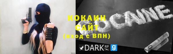 индика Горняк