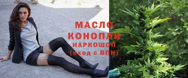 индика Горняк