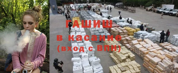 индика Горняк