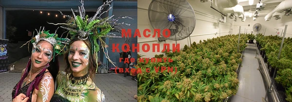 индика Горняк