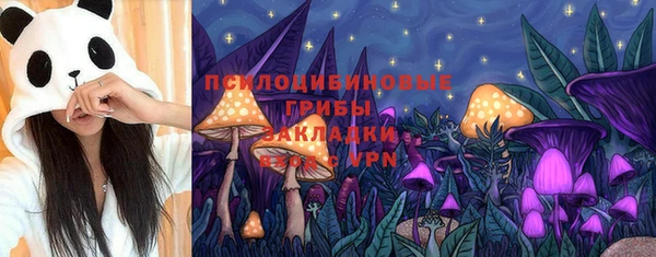 метадон Горнозаводск