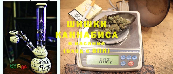 индика Горняк