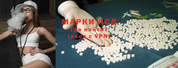 индика Горняк
