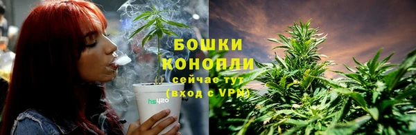 индика Горняк
