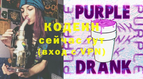 индика Горняк